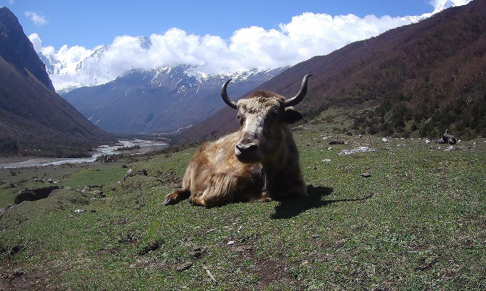 manaslu tsum valley trek map